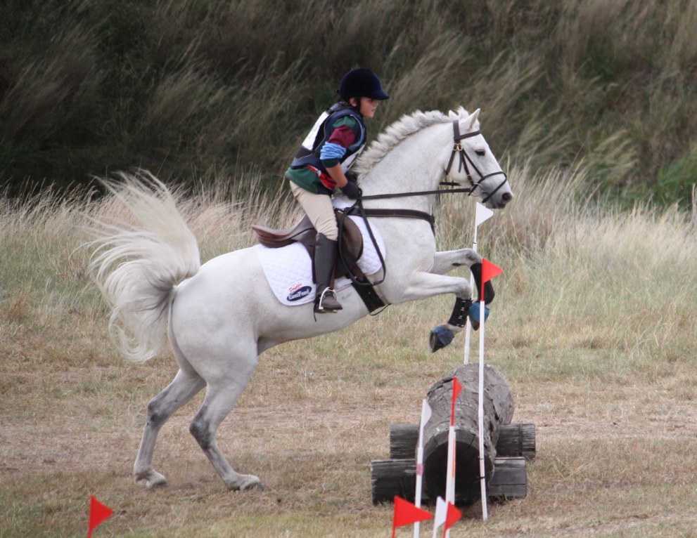 Glenormiston Killian competing at Scone Horse Trials