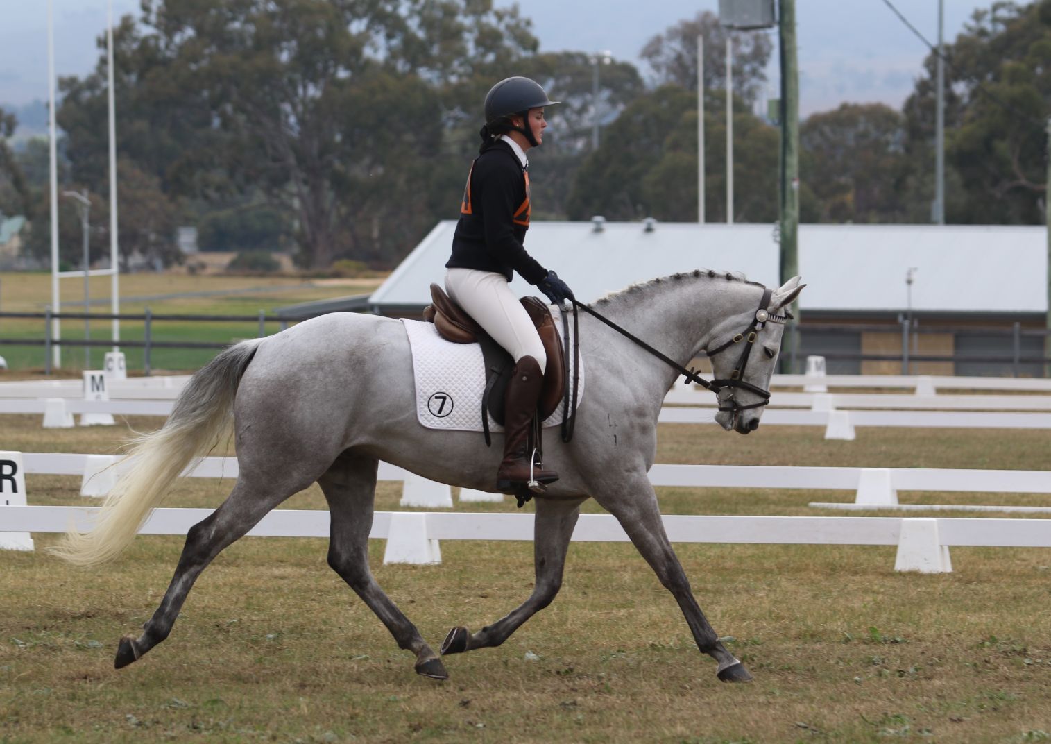 Asham Riverman competing at the State Eventing Championships
